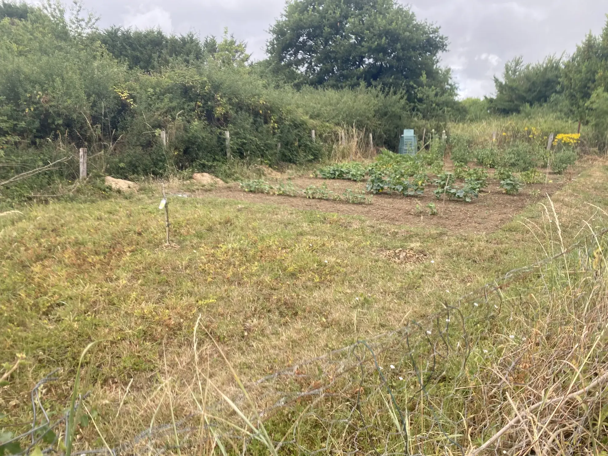 Jolie maison de village à Alloue avec jardin, garage et 2 chambres 