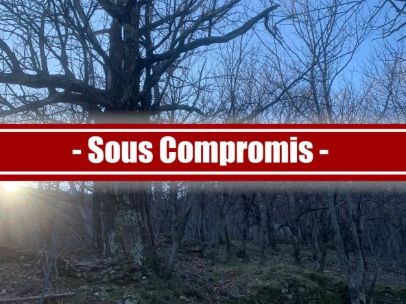 Vente verger de châtaigniers certifié bio près de Les Vans (07)