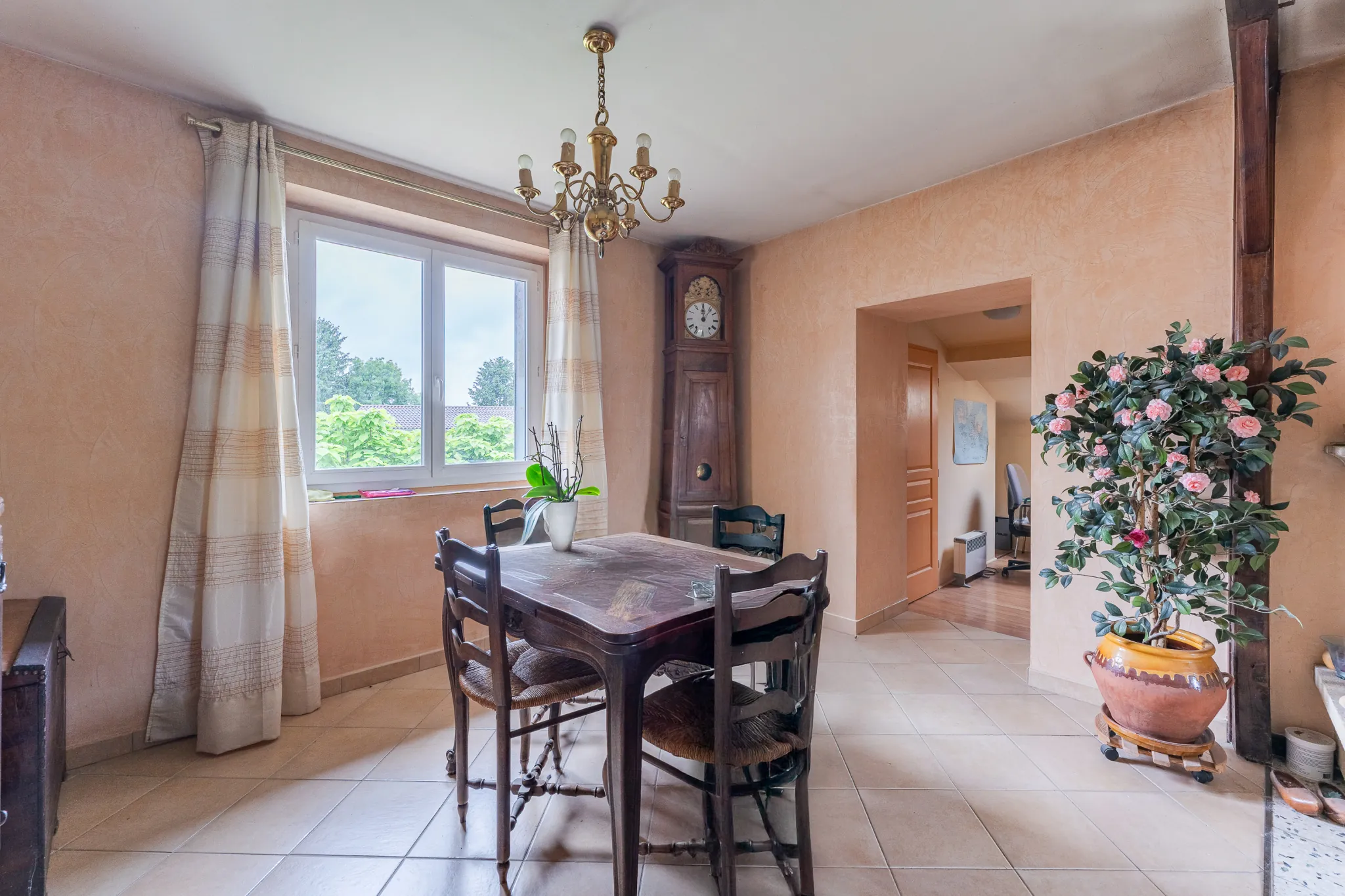Appartement ancien à vendre à Genay avec potentiel de rénovation 