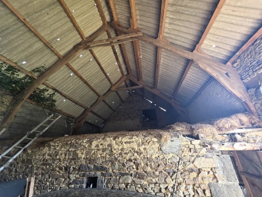 Ferme à rénover avec terrain et grange à Les Ancizes-Comps, proximité Saint-Georges-de-Mons 