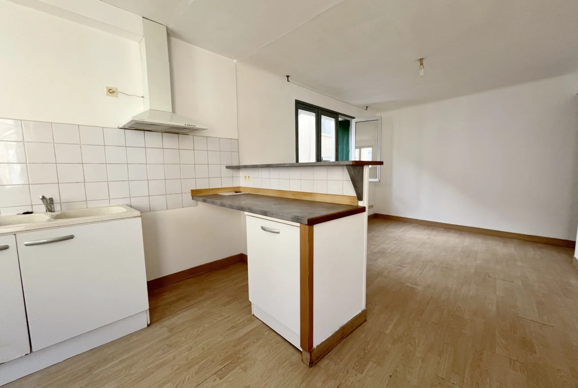 Maison de village avec appartement et studio à Saint-Laurent-De-La-Cabrerisse 