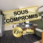 Bel appartement triplex avec jardin, piscine et garage à Michelbach le haut