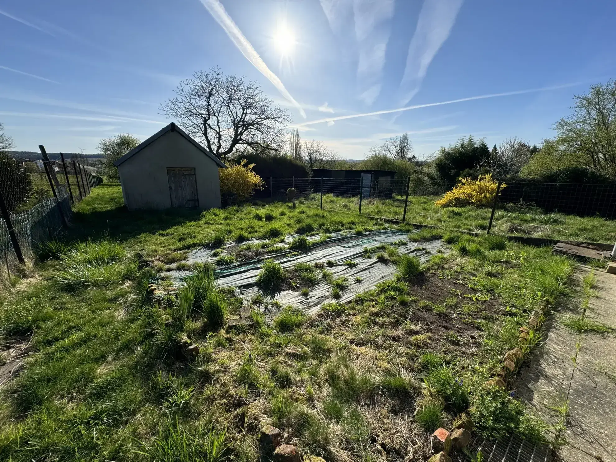 Maison à vendre à Willerwald de 156 m² avec terrain de 2700 m² 