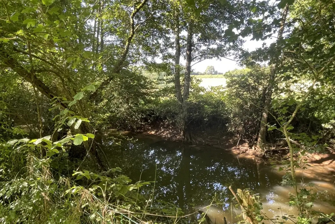 Maison à Premery avec grand terrain, rivière et espace pour chevaux 