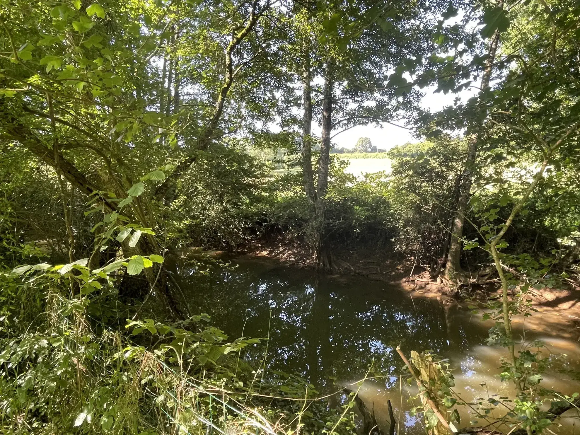 Maison à Premery avec grand terrain, rivière et espace pour chevaux 