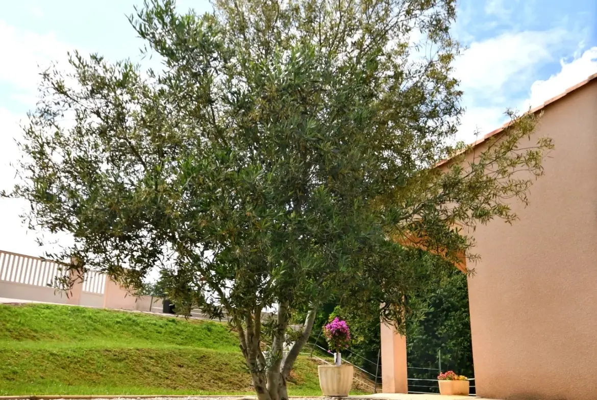 Belle maison de 107 m² avec piscine et grand terrain à Aubiac 