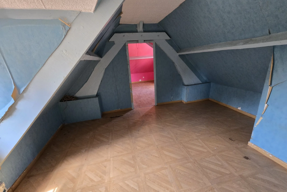Maison à vendre avec jardin, garage et travaux à prévoir à Villefranche sur Cher 
