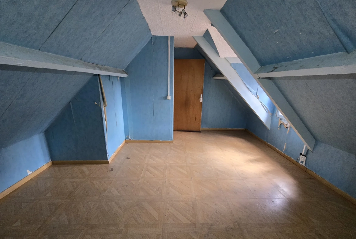 Maison à vendre avec jardin, garage et travaux à prévoir à Villefranche sur Cher 