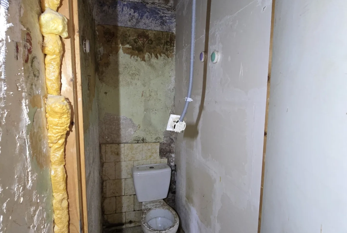 Maison à vendre avec jardin, garage et travaux à prévoir à Villefranche sur Cher 