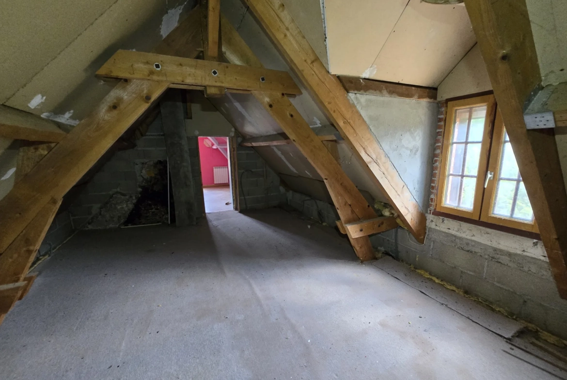Maison à vendre avec jardin, garage et travaux à prévoir à Villefranche sur Cher 