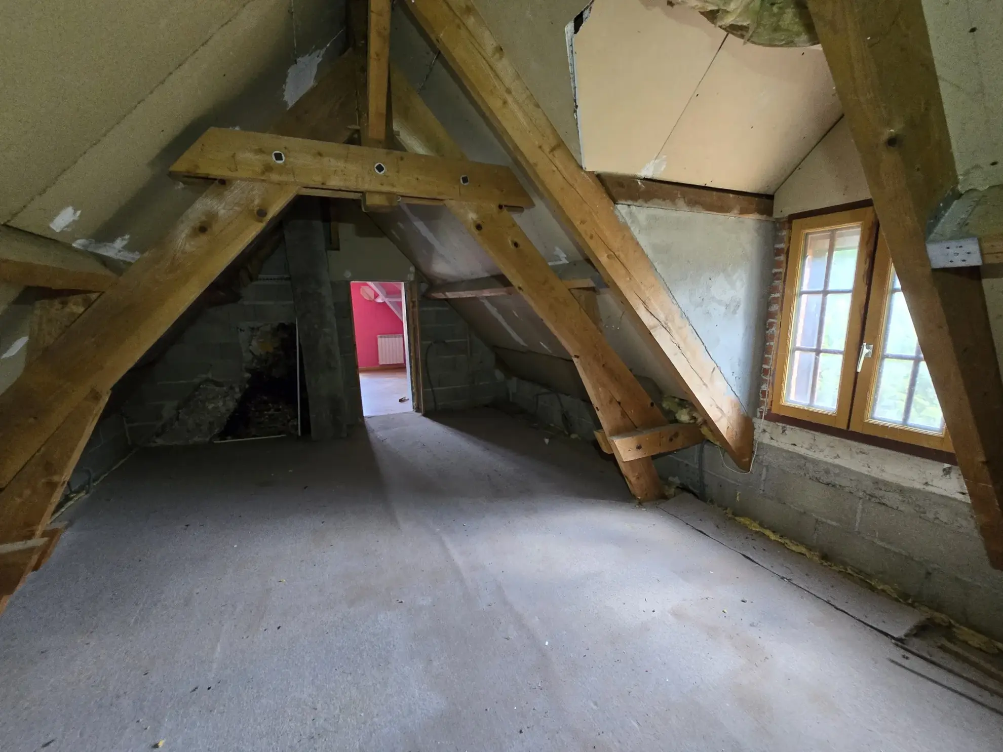 Maison à vendre avec jardin, garage et travaux à prévoir à Villefranche sur Cher 