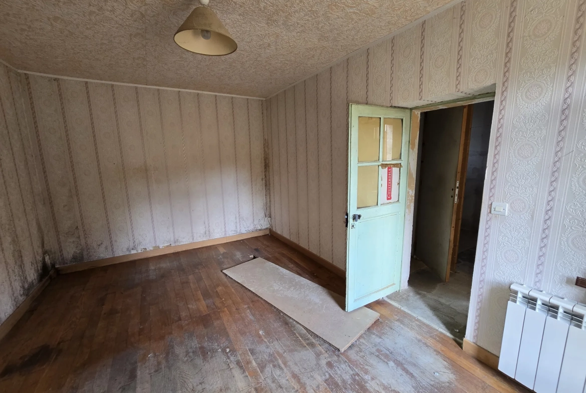 Maison à vendre avec jardin, garage et travaux à prévoir à Villefranche sur Cher 