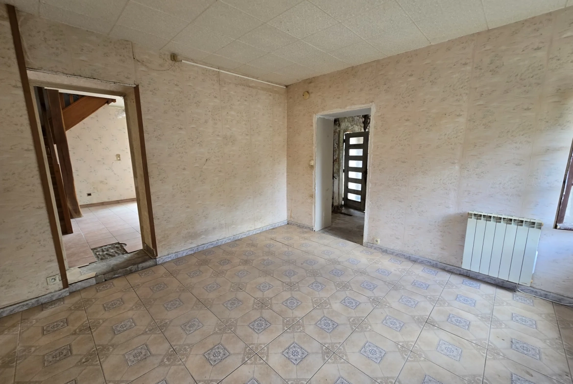 Maison à vendre avec jardin, garage et travaux à prévoir à Villefranche sur Cher 