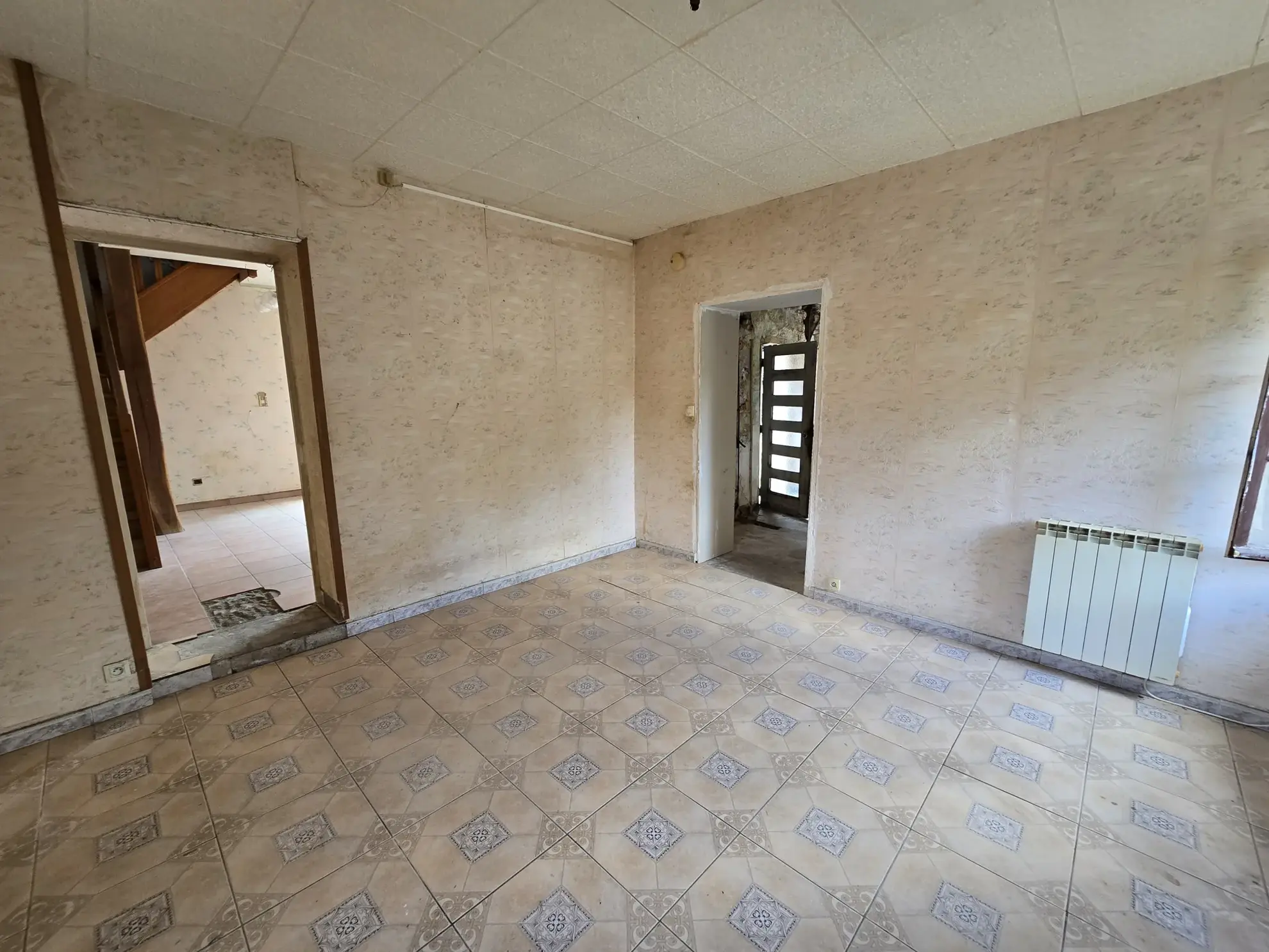 Maison à vendre avec jardin, garage et travaux à prévoir à Villefranche sur Cher 
