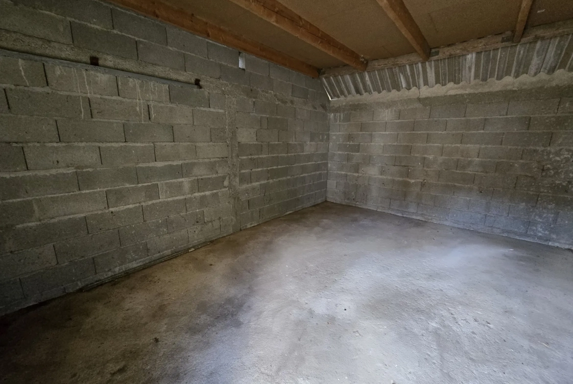 Maison à vendre avec jardin, garage et travaux à prévoir à Villefranche sur Cher 