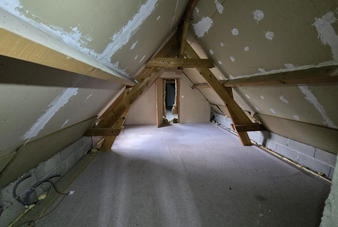 Maison à vendre avec jardin, garage et travaux à prévoir à Villefranche sur Cher 