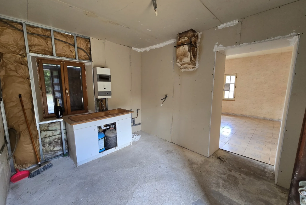 Maison à vendre avec jardin, garage et travaux à prévoir à Villefranche sur Cher 