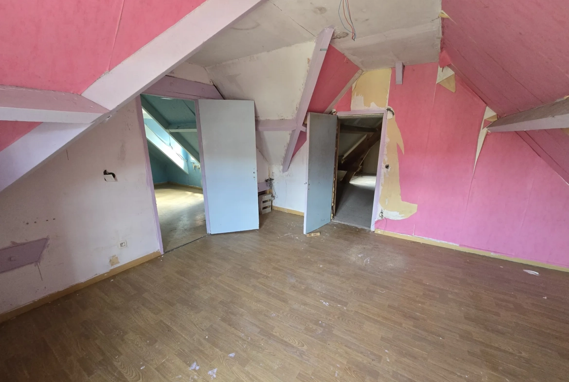 Maison à vendre avec jardin, garage et travaux à prévoir à Villefranche sur Cher 