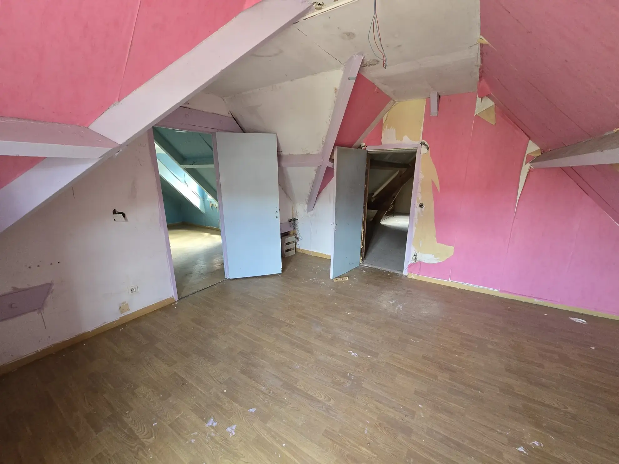 Maison à vendre avec jardin, garage et travaux à prévoir à Villefranche sur Cher 
