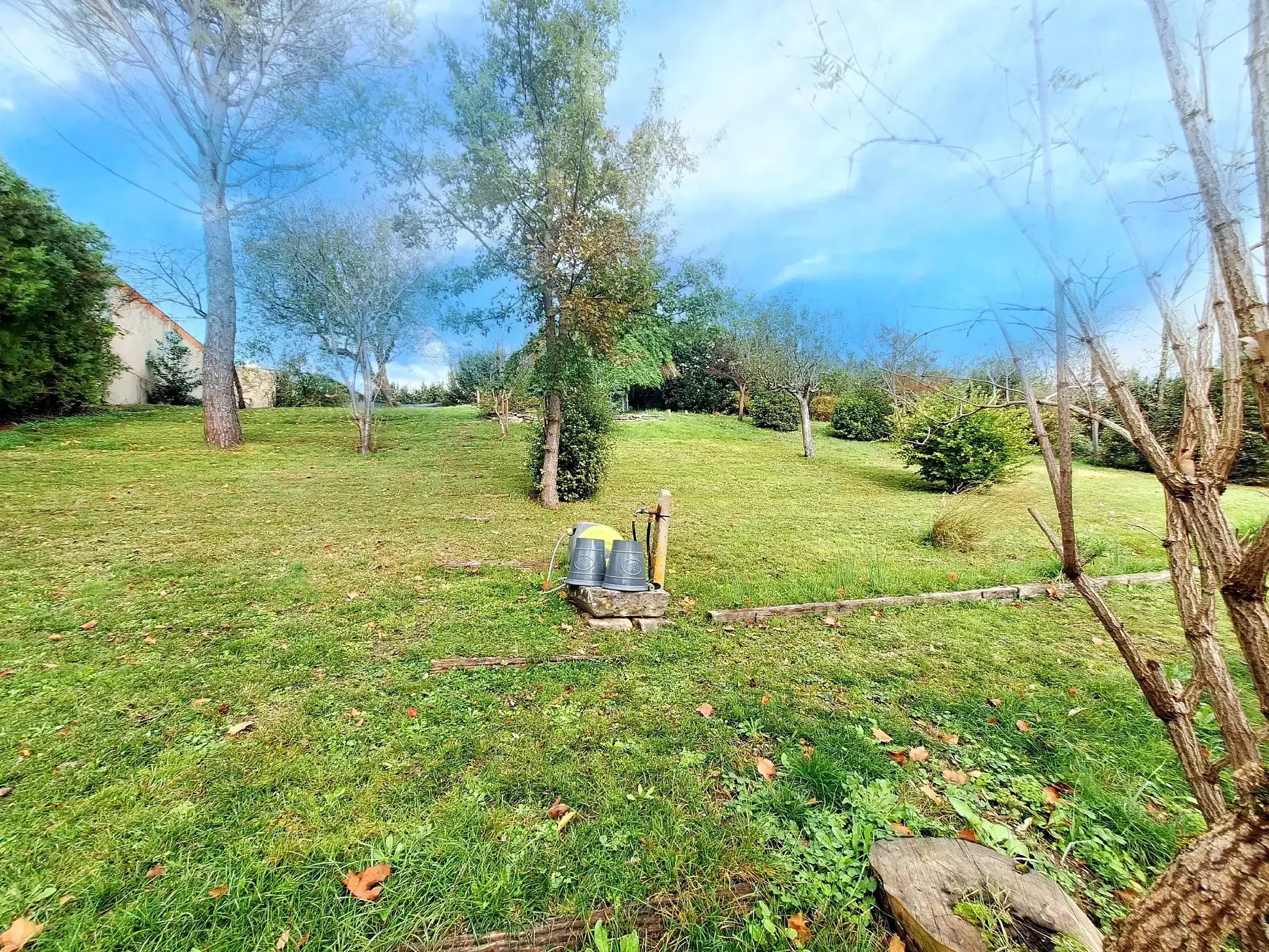 Vente maison à Puylaurens avec garage, jardin et potentiel professionnel 