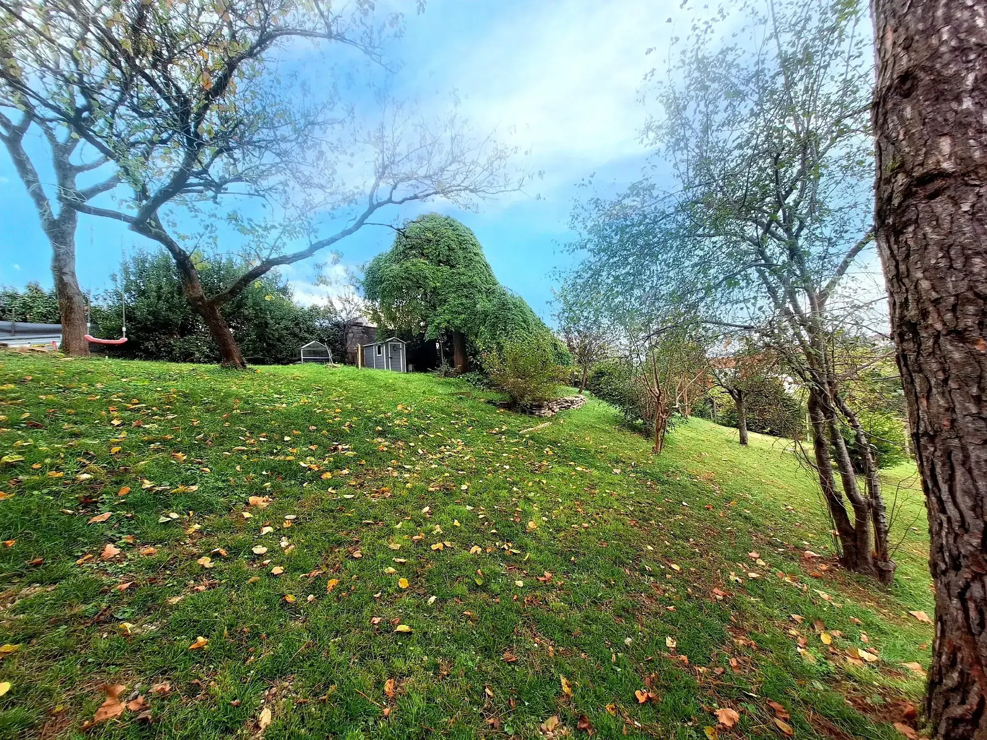 Vente maison à Puylaurens avec garage, jardin et potentiel professionnel 