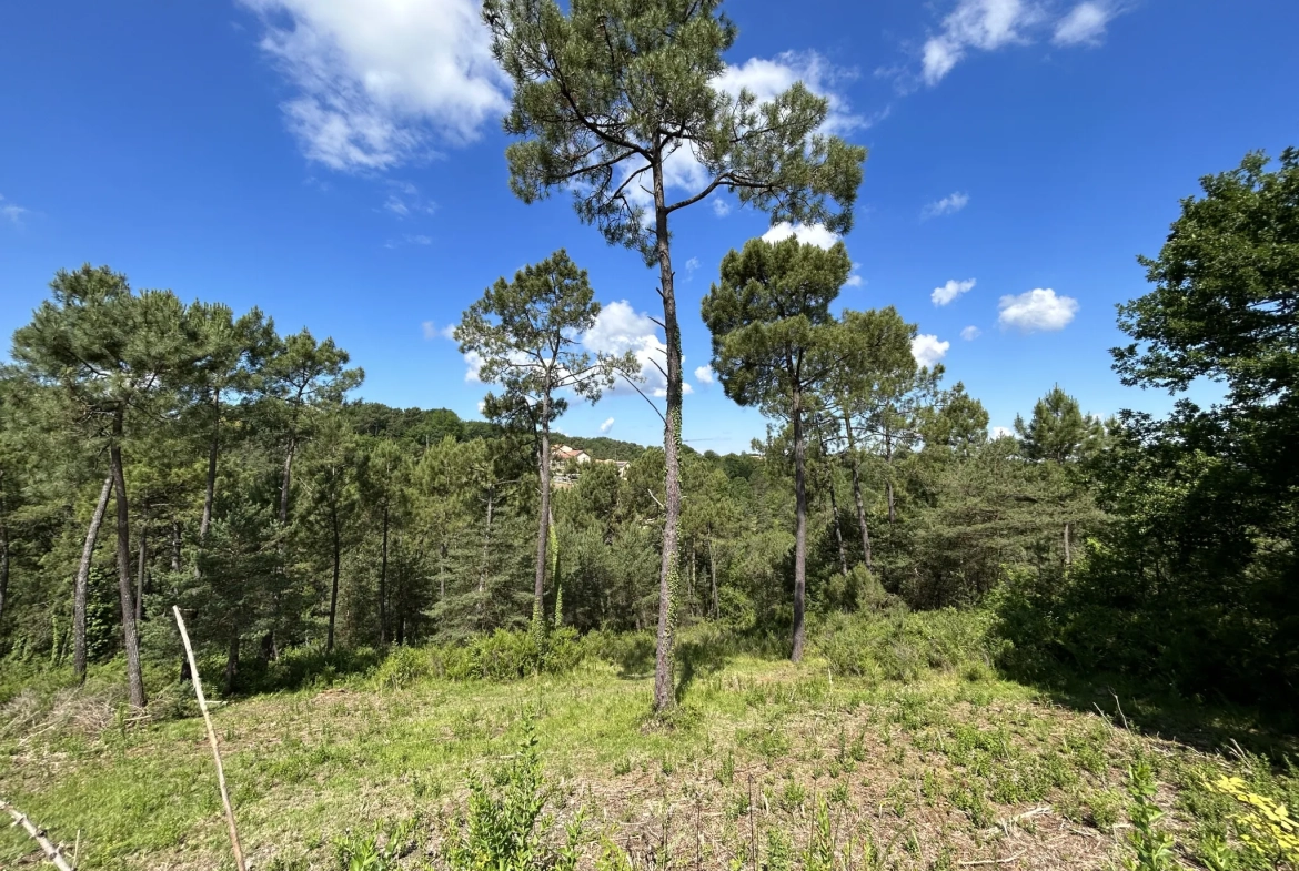 Terrain constructible à Coursac de 824 m², viabilisé, proche commodités et autoroute 