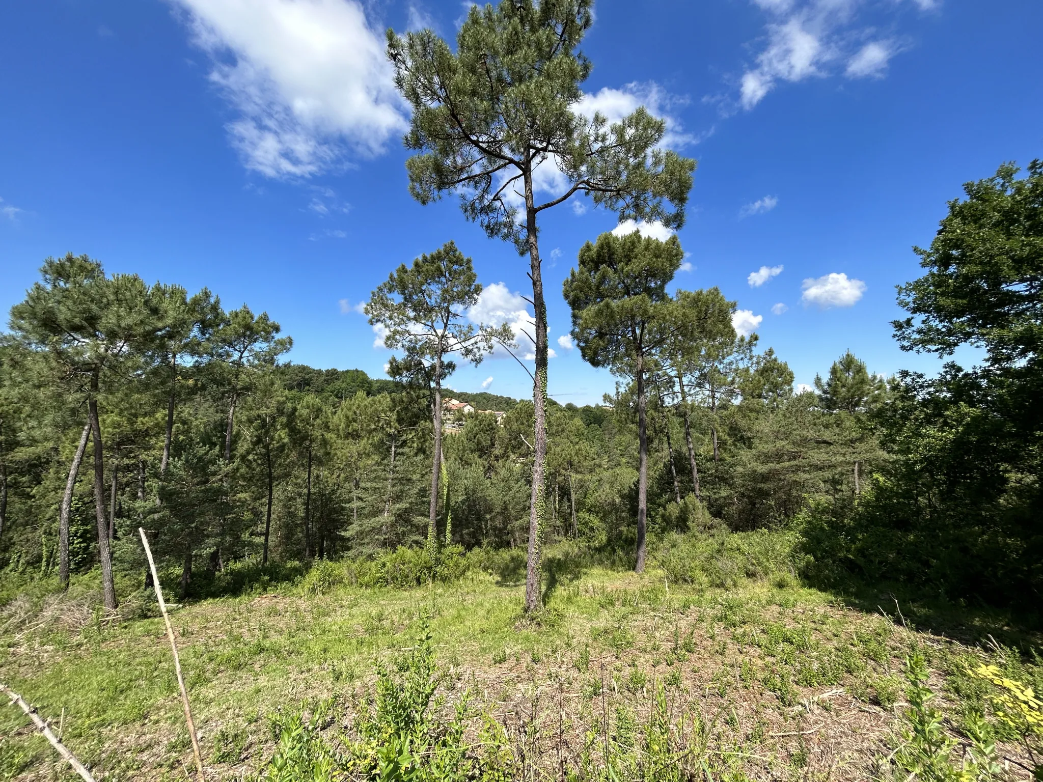 Terrain constructible à Coursac de 824 m², viabilisé, proche commodités et autoroute 