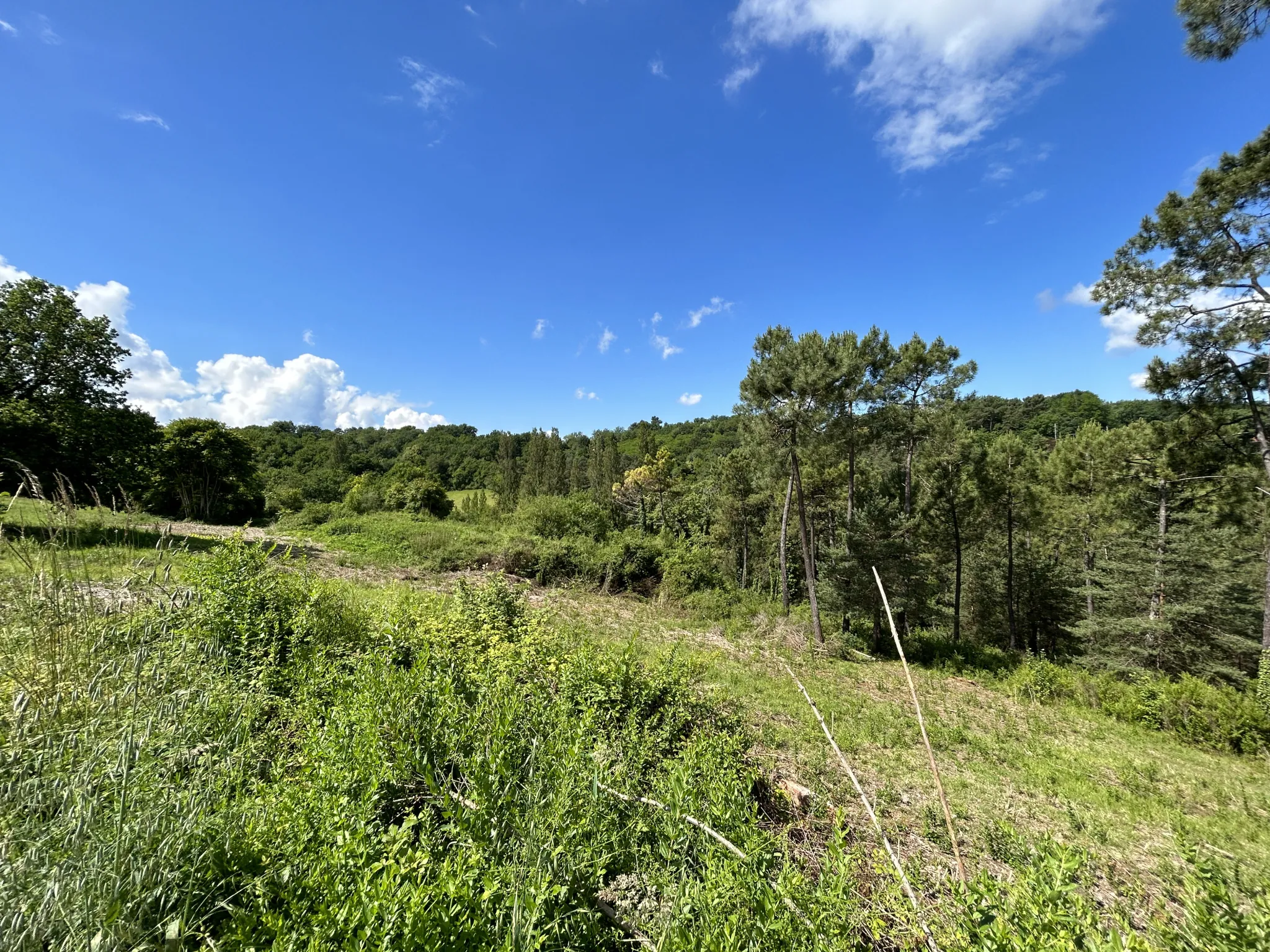 Terrain constructible à Coursac de 824 m², viabilisé, proche commodités et autoroute 