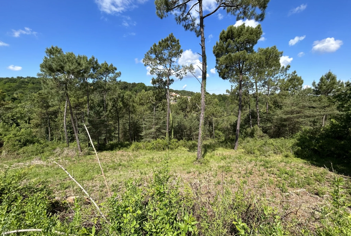 Terrain constructible à Coursac de 824 m², viabilisé, proche commodités et autoroute 