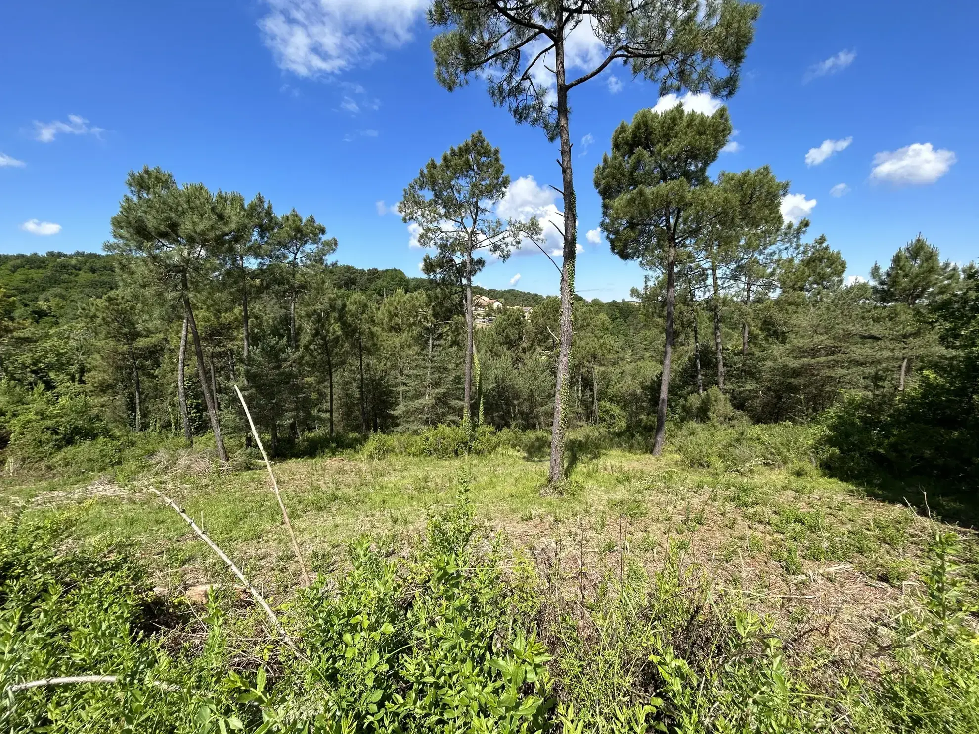 Terrain constructible à Coursac de 824 m², viabilisé, proche commodités et autoroute 