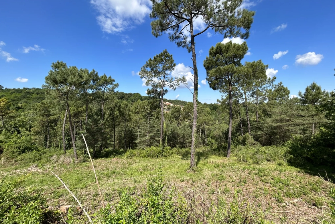 Terrain constructible à Coursac de 824 m², viabilisé, proche commodités et autoroute 