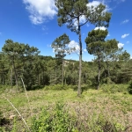 Terrain constructible à Coursac de 824 m², viabilisé, proche commodités et autoroute