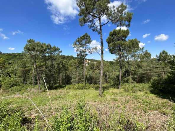 Terrain constructible à Coursac de 824 m², viabilisé, proche commodités et autoroute