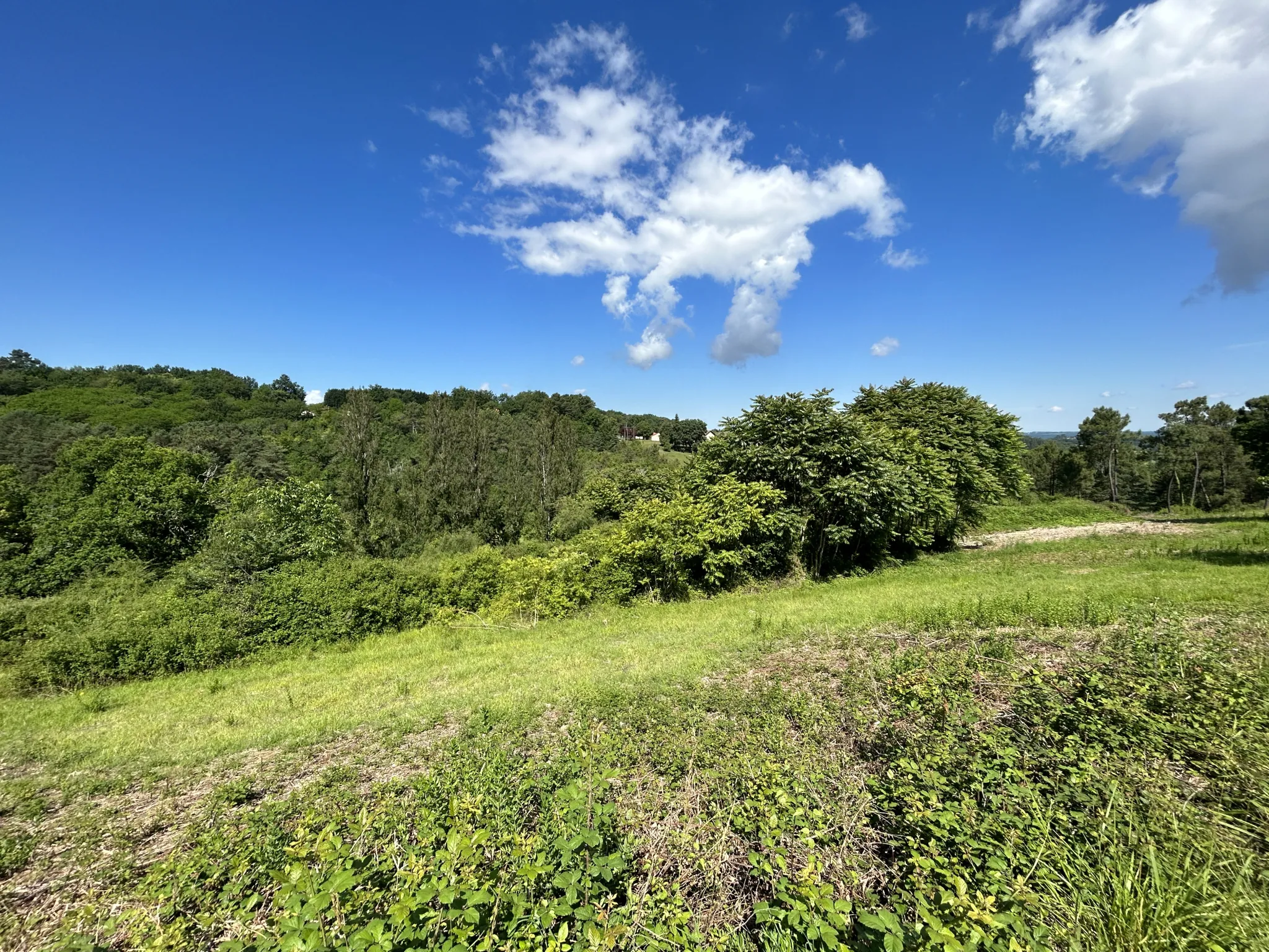 Terrain constructible à Coursac de 824 m², viabilisé, proche commodités et autoroute 