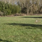Terrain constructible de 696 m² à Forges, calme et vue nature en secteur Aigrefeuille d'Aunis