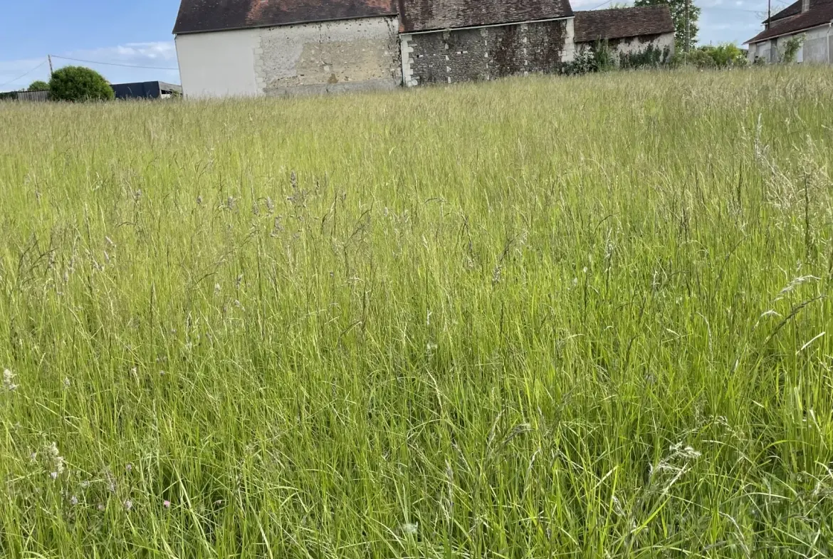Terrain constructible non viabilisé à vendre à Coussay-les-Bois (86) 