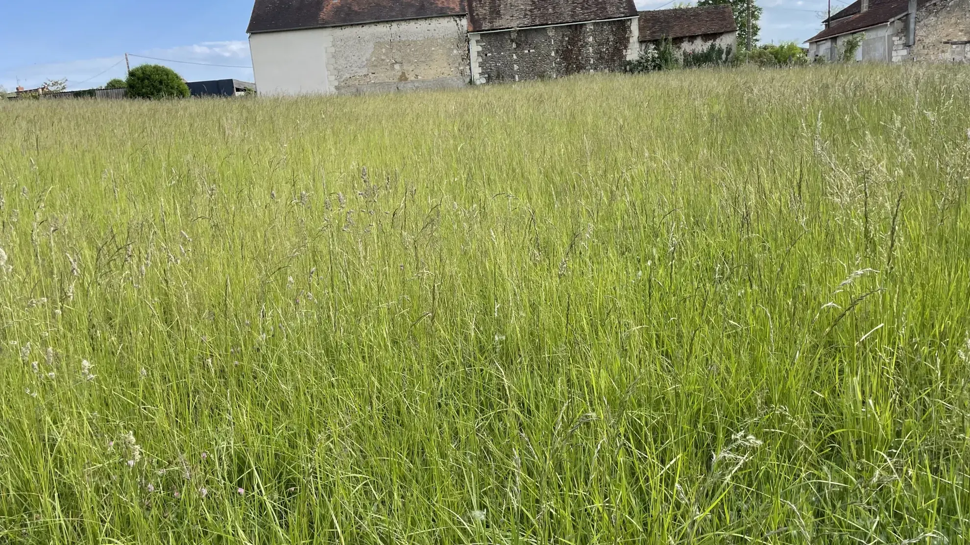 Terrain constructible non viabilisé à vendre à Coussay-les-Bois (86) 