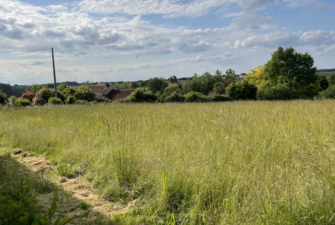 Terrain constructible non viabilisé à vendre à Coussay-les-Bois (86) 