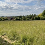 Terrain constructible non viabilisé à vendre à Coussay-les-Bois (86)
