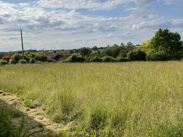 Terrain constructible non viabilisé à vendre à Coussay-les-Bois (86)