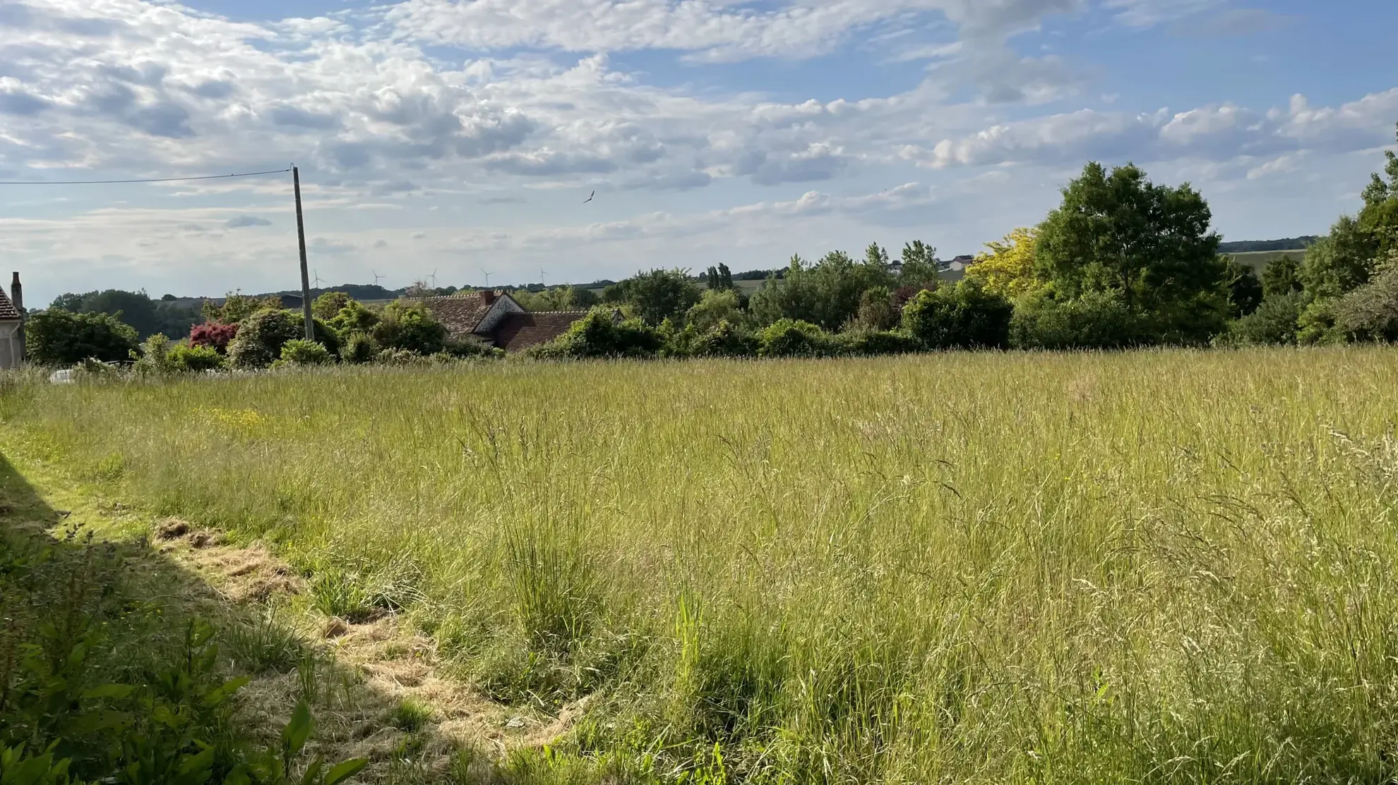 Terrain constructible non viabilisé à vendre à Coussay-les-Bois (86) 