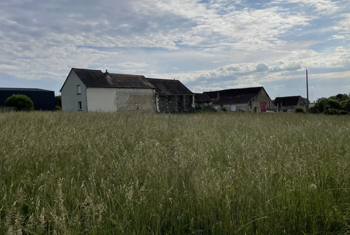 Terrain constructible non viabilisé à vendre à Coussay-les-Bois (86) 