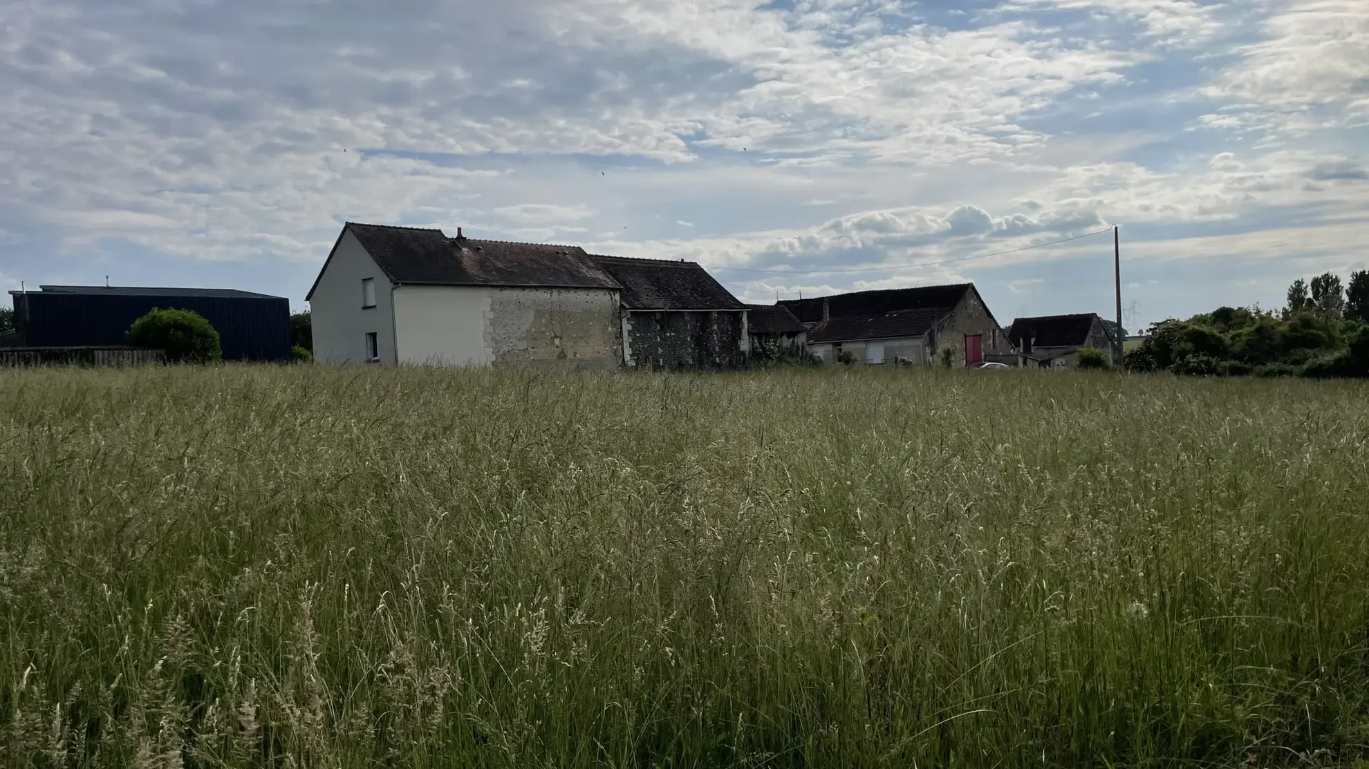 Terrain constructible non viabilisé à vendre à Coussay-les-Bois (86) 