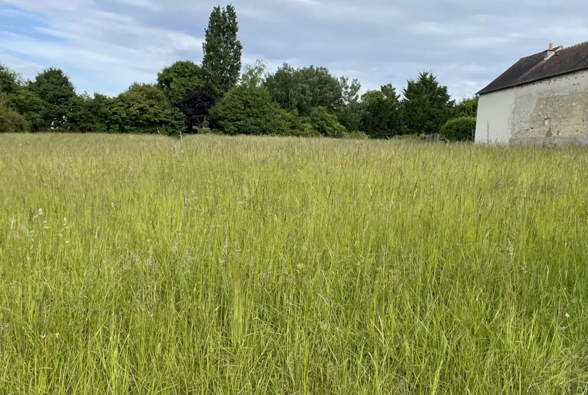 Terrain constructible non viabilisé à vendre à Coussay-les-Bois (86) 