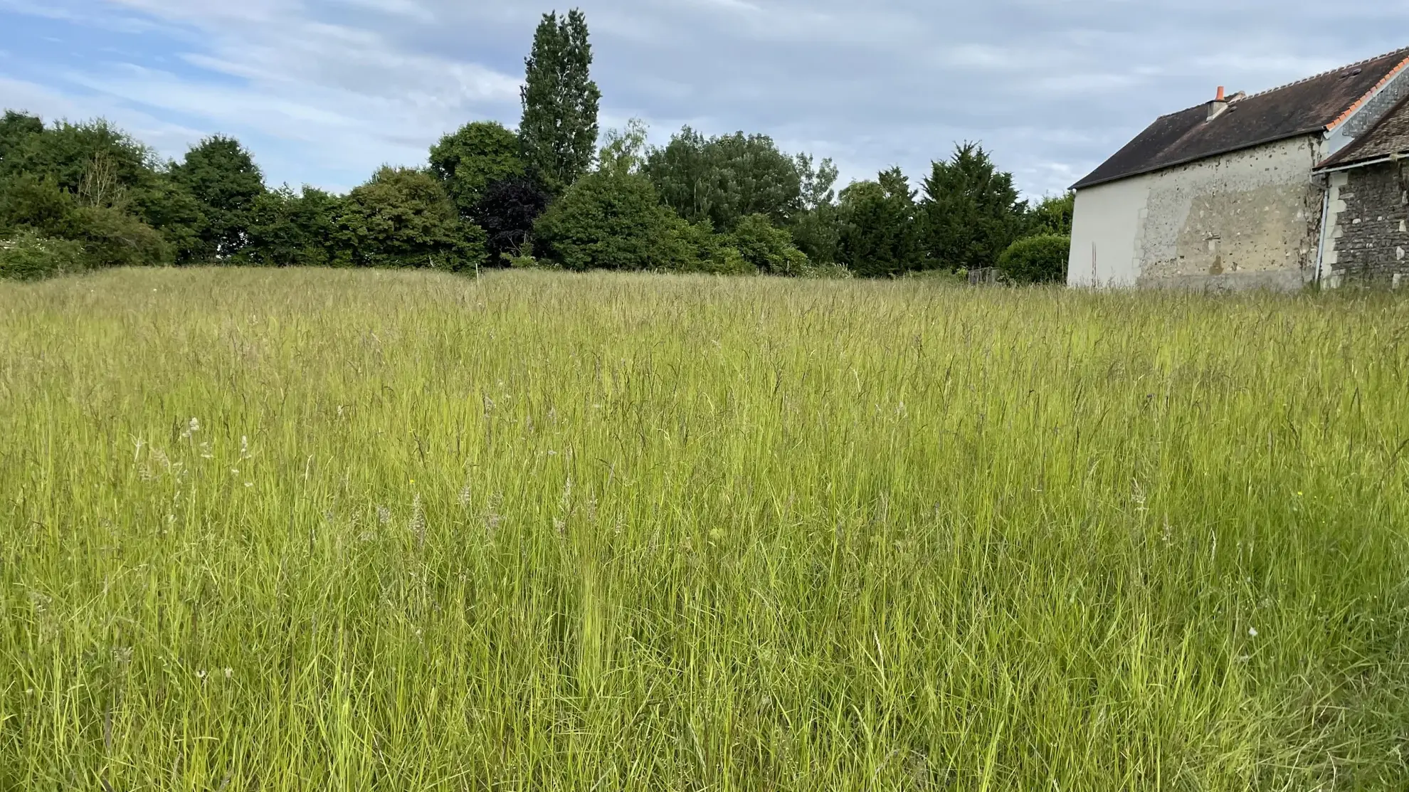 Terrain constructible non viabilisé à vendre à Coussay-les-Bois (86) 
