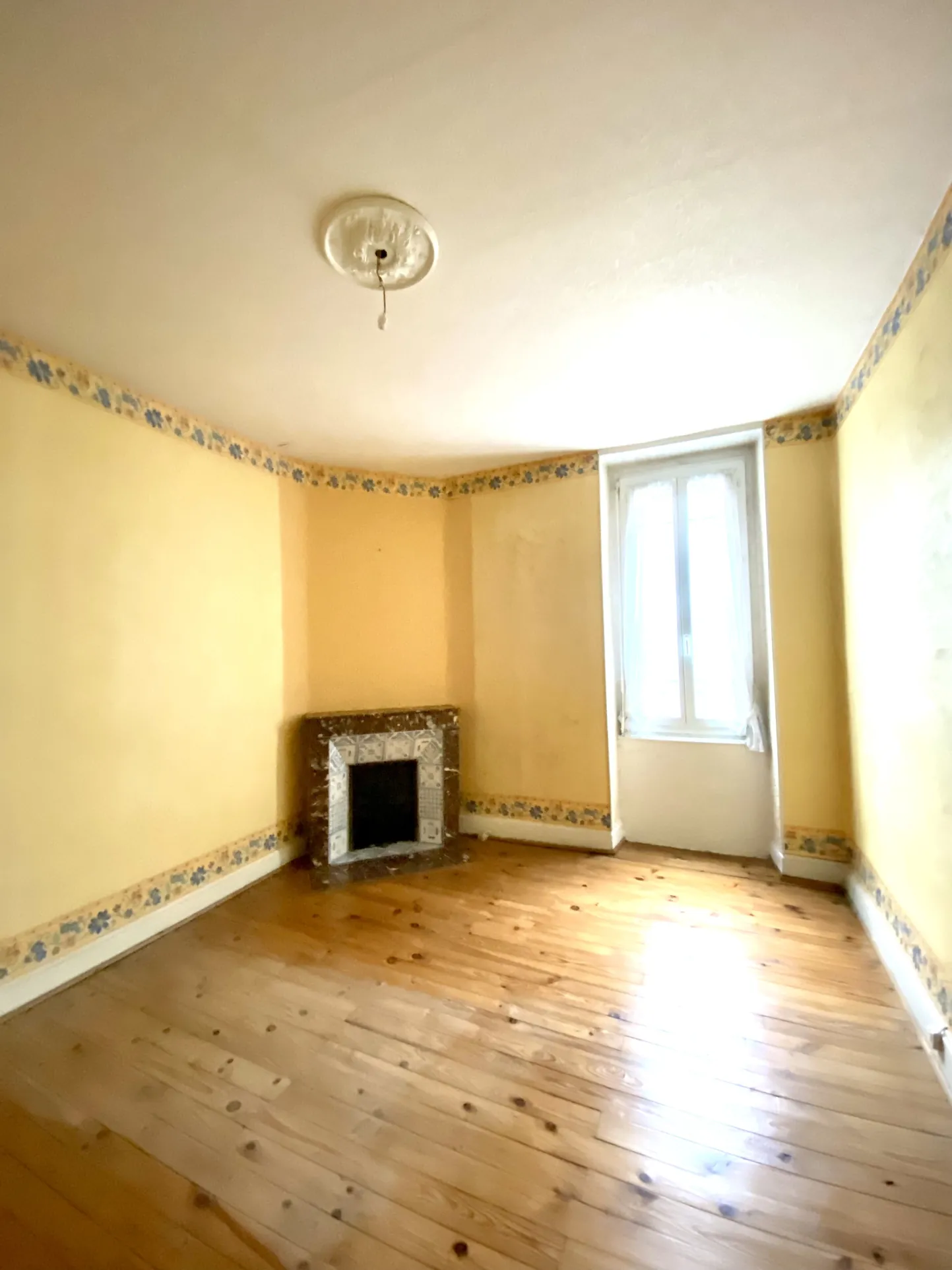 Immeuble mixte de 326 m² avec appartements, local professionnel et garages au Mayet de Montagne 