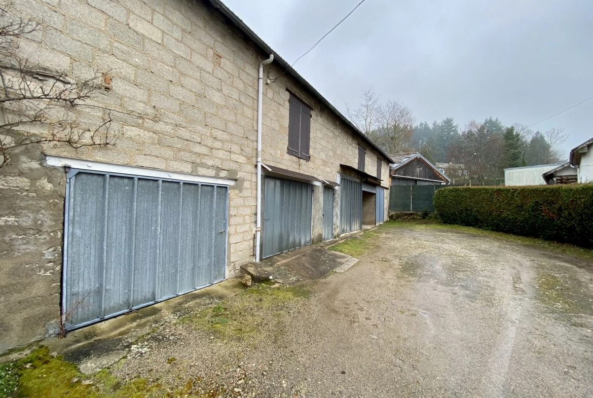 Immeuble mixte de 326 m² avec appartements, local professionnel et garages au Mayet de Montagne 