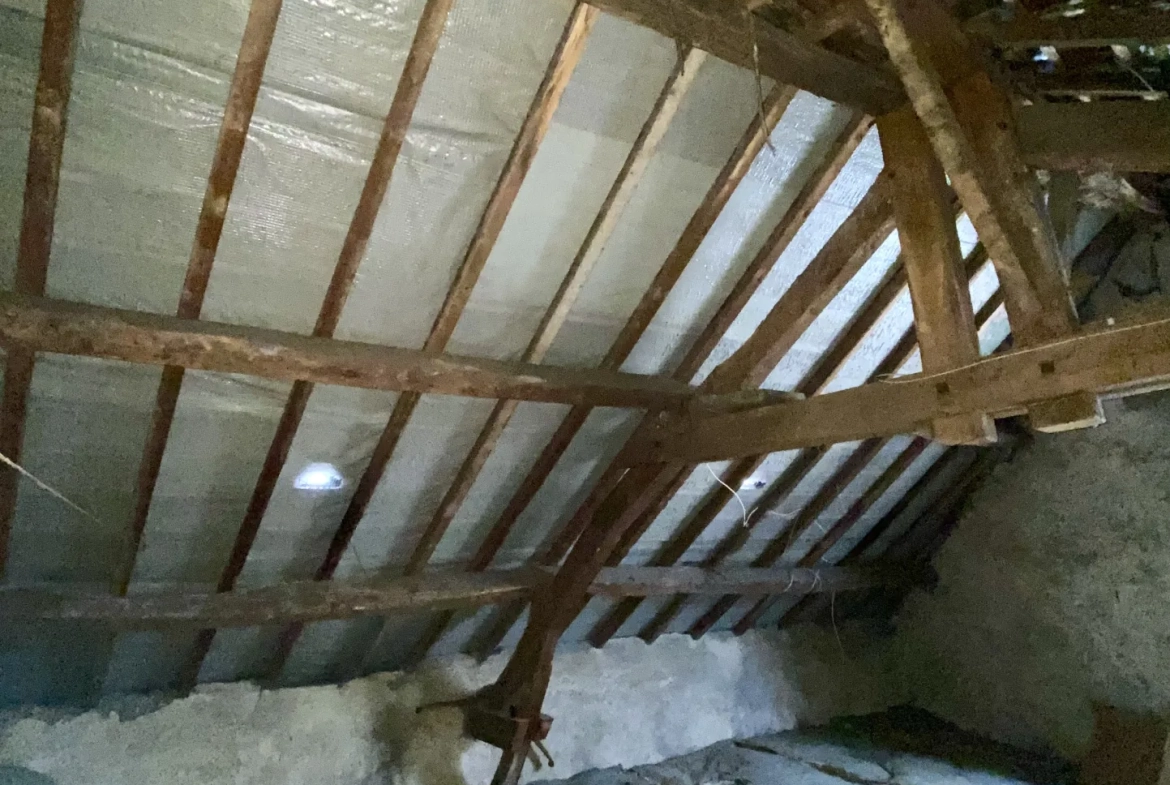 Immeuble mixte de 326 m² avec appartements, local professionnel et garages au Mayet de Montagne 