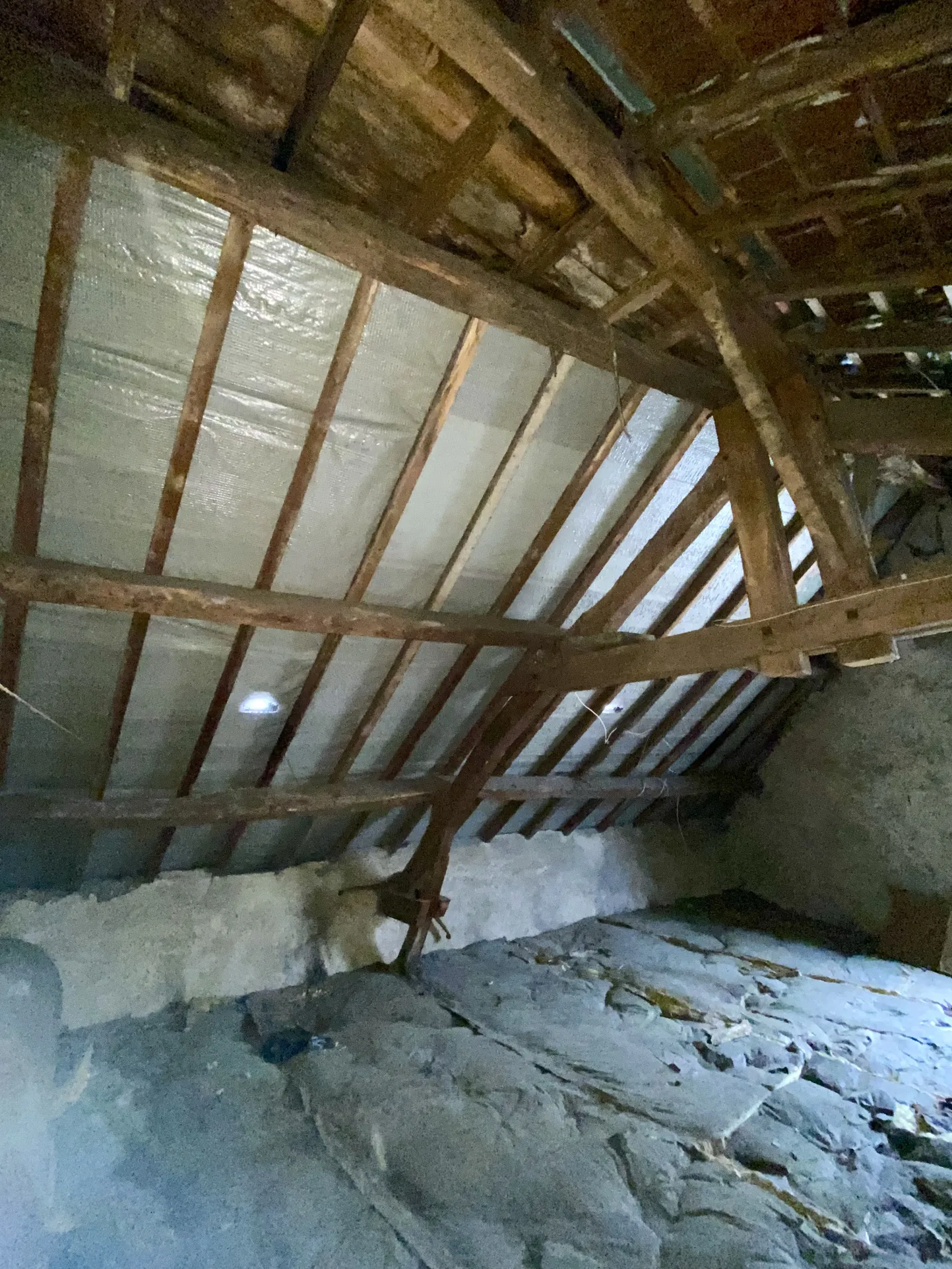 Immeuble mixte de 326 m² avec appartements, local professionnel et garages au Mayet de Montagne 