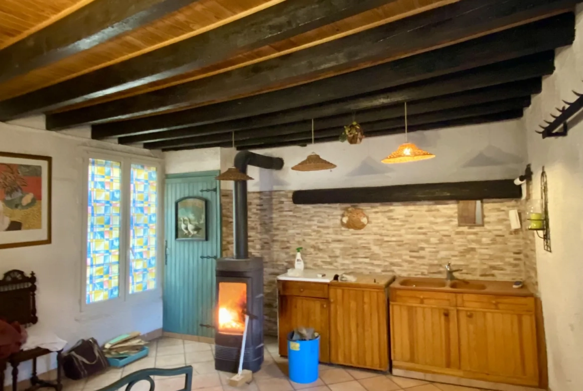 Immeuble mixte de 326 m² avec appartements, local professionnel et garages au Mayet de Montagne 